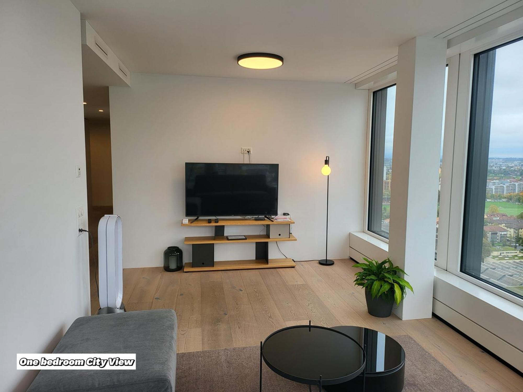 Park Tower City View Apartments Цуг Экстерьер фото